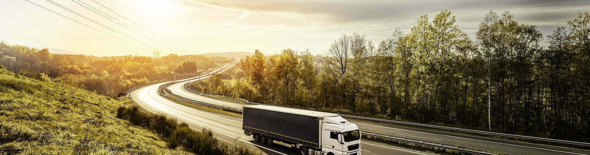 Gestão de frotas sustentáveis: o que é e como fazer