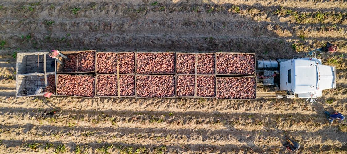 importância da telemetria para o setor alimentício
