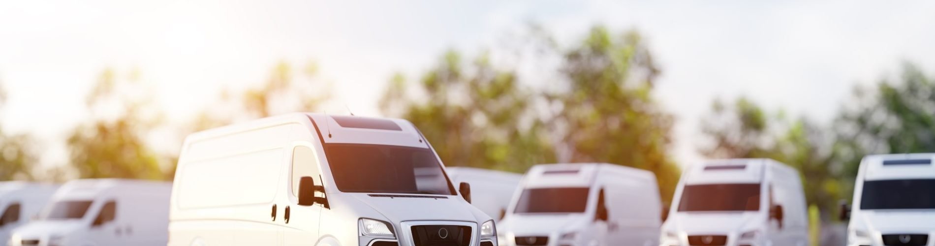 Entenda mais sobre a importância da consciência ecológica!